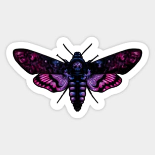 Bi Moth Sticker